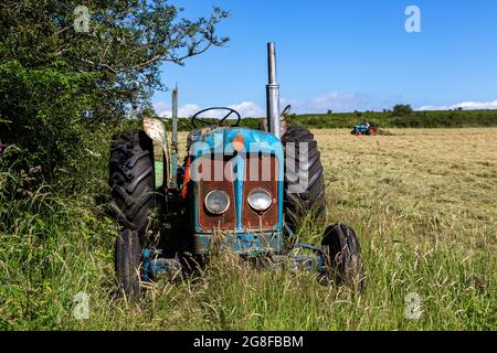 Fordson Super-Major-Traktor, Heudrehen mit altem Traktor, Fordston-Traktor, Fordson Stockfoto