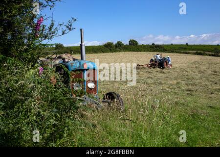 Fordson Super-Major-Traktor, Heudrehen mit altem Traktor, Fordston-Traktor, Fordson Stockfoto