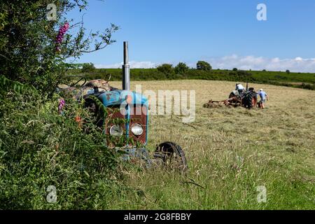 Fordson Super-Major-Traktor, Heudrehen mit altem Traktor, Fordston-Traktor, Fordson Stockfoto