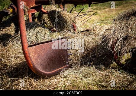 Fordson Super-Major-Traktor, Heudrehen mit altem Traktor, Fordston-Traktor, Fordson Stockfoto