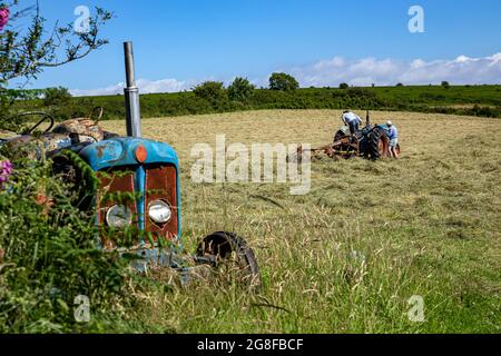 Fordson Super-Major-Traktor, Heudrehen mit altem Traktor, Fordston-Traktor, Fordson Stockfoto