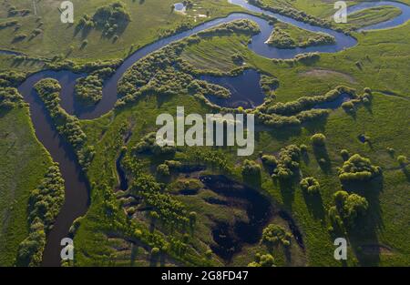 Ein gewundener Fluss fließt durch eine sumpfige Ebene und Wald, Luftaufnahme. Stockfoto