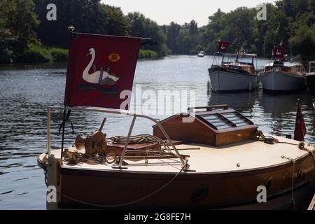 Oakley Court bei Windsor, Großbritannien: 20. Juli 2021. Jährliche Swan Upping Zählung der Schwanenpopulation an der Themse. Swan Uppers von der Worshipful Company of Vintners und der Worshipful Company of Dyers rudern mit dem Schwanenmarker der Queen, David Barber, in traditionellen Skiffs flussaufwärts. Die jährliche Veranstaltung geht vermutlich auf das Jahr 1189 zurück, als die Krone den Besitz aller stummen Schwäne für Essen für Bankette und Feste beanspruchte. Heute werden die Cygnets gewogen und gemessen, um Schätzungen der Wachstumsraten zu erhalten, und auf Anzeichen von Verletzungen untersucht, die in der Regel durch Angelhaken und Angelschnur verursacht werden. Stockfoto