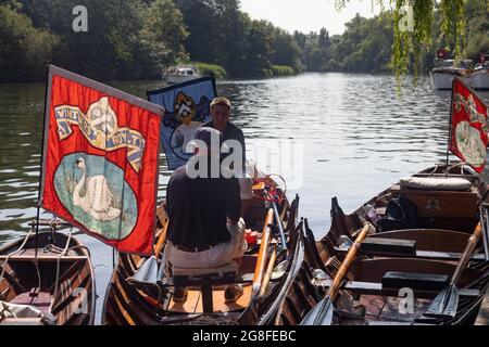 Oakley Court bei Windsor, Großbritannien: 20. Juli 2021. Jährliche Swan Upping Zählung der Schwanenpopulation an der Themse. Swan Uppers von der Worshipful Company of Vintners und der Worshipful Company of Dyers rudern mit dem Schwanenmarker der Queen, David Barber, in traditionellen Skiffs flussaufwärts. Die jährliche Veranstaltung geht vermutlich auf das Jahr 1189 zurück, als die Krone den Besitz aller stummen Schwäne für Essen für Bankette und Feste beanspruchte. Heute werden die Cygnets gewogen und gemessen, um Schätzungen der Wachstumsraten zu erhalten, und auf Anzeichen von Verletzungen untersucht, die in der Regel durch Angelhaken und Angelschnur verursacht werden. Stockfoto