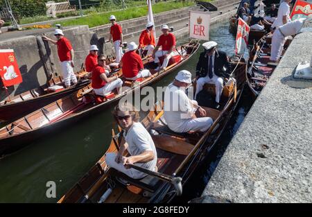 Boveney Lock, in der Nähe von Eton, Großbritannien: 20. Juli 2021. Jährliche Swan Upping Zählung der Schwanenpopulation an der Themse. Swan Uppers von der Worshipful Company of Vintners und der Worshipful Company of Dyers rudern mit dem Schwanenmarker der Königin David Barber (Scharlach-Blazer) in traditionellen Skiffs flussaufwärts. Die jährliche Veranstaltung geht vermutlich auf das Jahr 1189 zurück, als die Krone den Besitz aller stummen Schwäne für Essen für Bankette und Feste beanspruchte. Heute werden die Cygnets gewogen und gemessen, um Schätzungen der Wachstumsraten zu erhalten, und auf Anzeichen von Verletzungen untersucht, die in der Regel durch Angelhaken und Angelschnur verursacht werden. Stockfoto