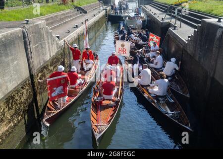 Boveney Lock, in der Nähe von Eton, Großbritannien: 20. Juli 2021. Jährliche Zählung der Schwanenpopulation an der Themse. Swan Uppers von der Worshipful Company of Vintners und der Worshipful Company of Dyers rudern mit dem Schwanenmarker der Königin David Barber (Scharlach-Blazer) in traditionellen Skiffs flussaufwärts. Die jährliche Veranstaltung geht vermutlich auf das Jahr 1189 zurück, als die Krone den Besitz aller stummen Schwäne für Essen für Bankette und Feste beanspruchte. Heute werden die Cygnets gewogen und gemessen, um Schätzungen der Wachstumsraten zu erhalten, und auf Anzeichen von Verletzungen untersucht, die in der Regel durch Angelhaken und Angelschnur verursacht werden. Stockfoto