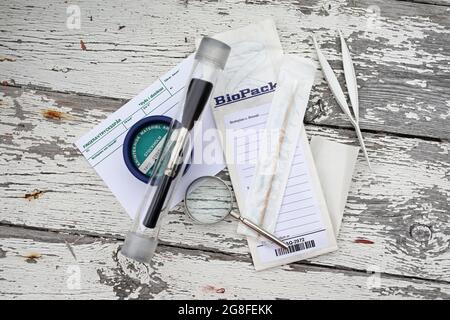 Forensische Ausrüstung für Fingerabdrücke, Lupe und Beutel für DNA-Probenahme an einem Tatort. Stockfoto