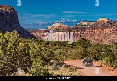 Beef Basin Road, Shay Mesa, Cottonwood Creek Canyon, La Sal Mtns in dist, 40 Meilen nordöstlich, Bears Ears National Monument, Canyonlands Area, Utah, USA Stockfoto