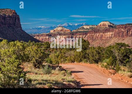 Beef Basin Road, Shay Mesa, Cottonwood Creek Canyon, La Sal Mtns in dist, 40 Meilen nordöstlich, Bears Ears National Monument, Canyonlands Area, Utah, USA Stockfoto