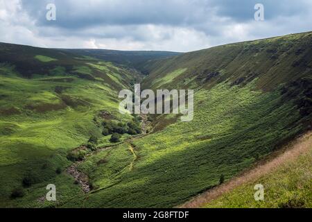 Blick auf Torside Clough vom Pennine Way aus Richtung Bleaklow Head vom Pennine Way, Peak District National Park, Derbyshire Stockfoto