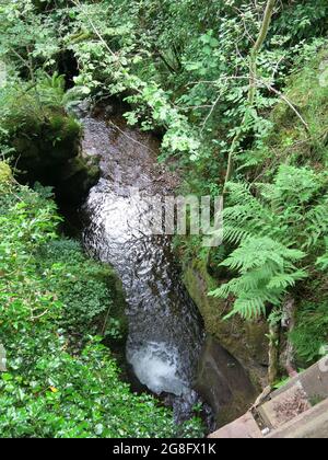 Kaskadierung des Wasserfalls, der vom Pfad einer Waldwanderung durch Dollar Glen in den Ochil Hills, Zentralschottland, aus gesehen wird. Stockfoto