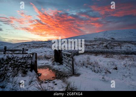 Eine dramatische Winterszene in Wildboarclough, Peak District National Park, Ceshire, England, Großbritannien, Europa Stockfoto