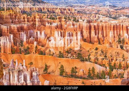 Sandsteinformationen, Bryce Canyon, Bryce Canyon National Park, Utah, USA, Nordamerika Stockfoto