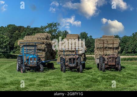 3 Vintage Fordson Major Traktoren mit Heuballen zur Erntezeit Stockfoto