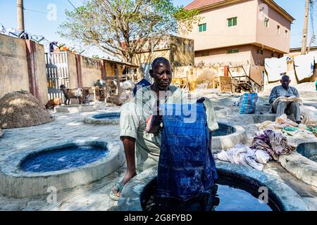 Mann färben Kleidung mit Indigo, färben Gruben, Kano, Kano Staat, Nigeria, Westafrika, Afrika Stockfoto