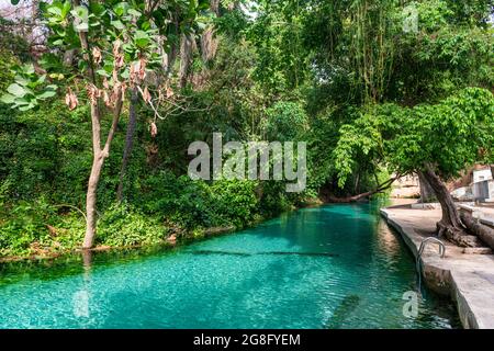 Türkisfarbene Wikki-Quellen, Yankari-Nationalpark, Ostnigeria, Westafrika, Afrika Stockfoto