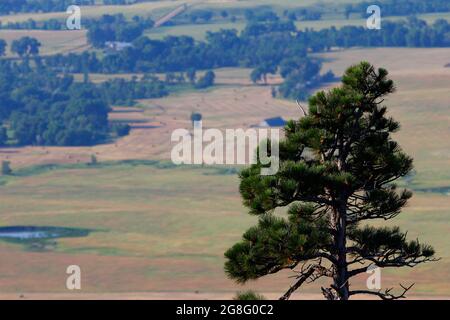 Blick auf Bear Butte State Park, South Dakota Stockfoto