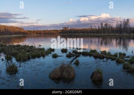 Sonnenuntergang an einem borealen See im Elk Island National Park, Alberta, Kanada, Nordamerika Stockfoto