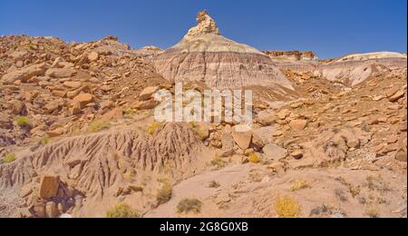 Ein Rock-Hoodoo in Form eines Pferdekopfes, am Fuße des Blue Mesa im Petrified Forest National Park, Arizona, USA Stockfoto