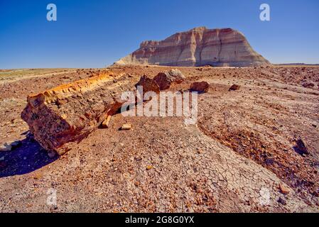 Eine Bentonit-Formation im Petrified Forest National Park in der Nähe von Crystal Forest, genannt Battleship, Arizona, USA, Nordamerika Stockfoto