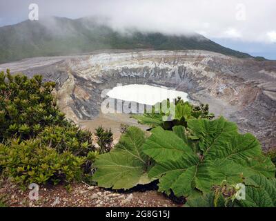 Parque Nacional Volcán Poas, Costa Rica Stockfoto