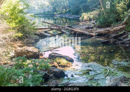 Lago Chico See im Nationalpark Huerquehue, Chile Stockfoto