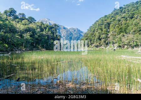 Laguna Toro See im Nationalpark Huerquehue, Chile Stockfoto