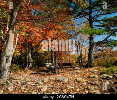 Einsame Parkbank mit Blick auf einen See im Herbst Stockfoto