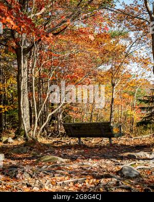 Einsame Parkbank mit Blick auf einen See im Herbst Stockfoto