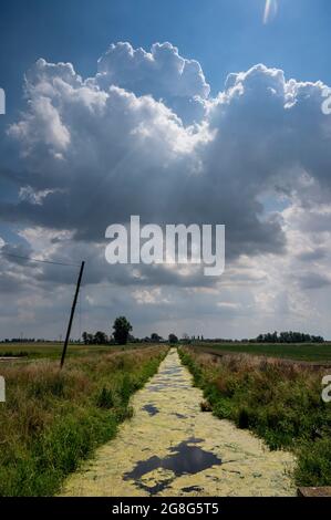 Haddenham Cambridgeshire, Großbritannien. Juli 2021. Über dem Cambridgeshire Fens sammeln sich am großen ostanglianischen Himmel Sturmwolken. Die Hitzewelle und das feuchte Wetter haben Gewitter im Osten Großbritanniens verursacht. Für den Rest der Woche werden weiterhin hohe Temperaturen prognostiziert. Kredit: Julian Eales/Alamy Live Nachrichten Stockfoto