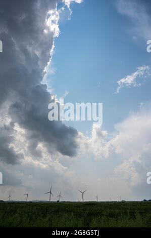 Haddenham Cambridgeshire, Großbritannien. Juli 2021. Über dem Cambridgeshire Fens sammeln sich am großen ostanglianischen Himmel Sturmwolken. Die Hitzewelle und das feuchte Wetter haben Gewitter im Osten Großbritanniens verursacht. Für den Rest der Woche werden weiterhin hohe Temperaturen prognostiziert. Kredit: Julian Eales/Alamy Live Nachrichten Stockfoto