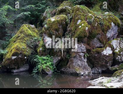 Ein mit Moos bewachsener Felsen am Ufer eines Gebirgsbaches Stockfoto