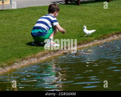 Ein kleiner Junge, der während des Sommers in Großbritannien, GB, Fische und Vögel in einem Landpark füttert. Stockfoto