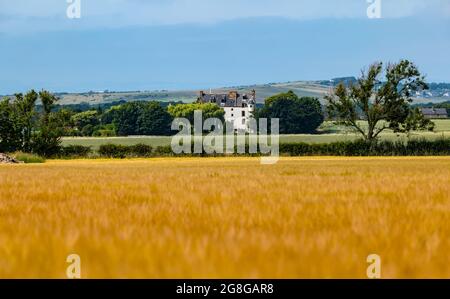 East Lothian, Schottland, Großbritannien, 20. Juli 2021. Wetter in Großbritannien: Heiß und sonnig: Das jüngste heiße, trockene Wetter hat die grünen Erntefelder in der Sonne goldgelb gemacht. Im Bild: Ballencrieff House auf einem Gerstenfeld Stockfoto