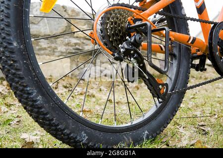 Komplexe metallische Fahrradausrüstung auf dem hinteren Gummirad eines Mountainbikes. Technik und Technik und Sportausrüstung Stockfoto