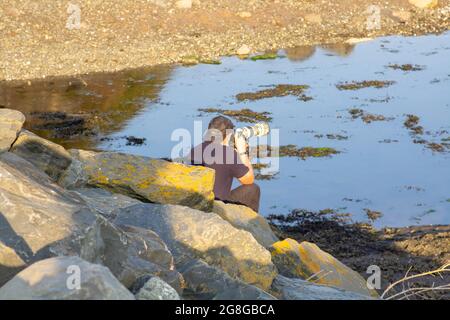 19. Juli 2021 EIN Mann, der mit einem handgehaltenen Teleobjektiv am Floodtore Walk am Strangford Lough in Newtownard Fotos von der Vogelwelt fotografiert Stockfoto