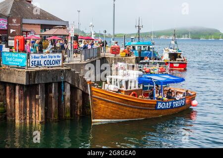 Touristen, die eine Bootsfahrt machen, um eine Robbenkolonie zu sehen, segeln von Oban Harbour, Oban, Argyll, Schottland, Großbritannien Stockfoto