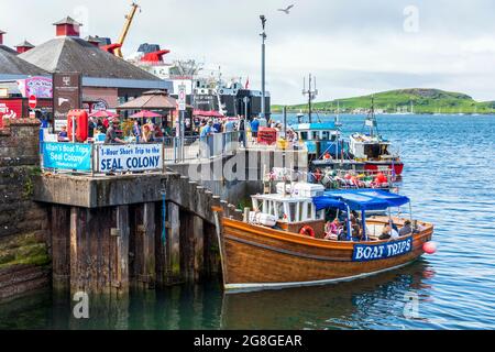 Touristen, die eine Bootsfahrt machen, um eine Robbenkolonie zu sehen, segeln von Oban Harbour, Oban, Argyll, Schottland, Großbritannien Stockfoto
