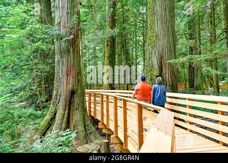 Promenade durch Cathedral Grove, MacMillan Provincial Park, British Columbia, Kanada Stockfoto
