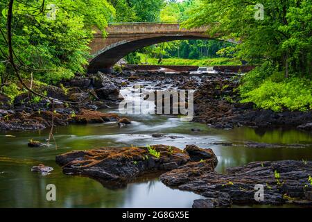 Price Rapids Conservation Area Tweed Ontario Canada im Sommer Stockfoto