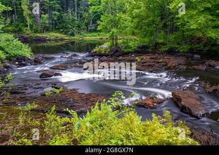 Price Rapids Conservation Area Tweed Ontario Canada im Sommer Stockfoto