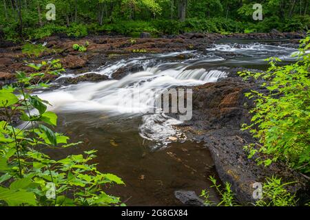 Price Rapids Conservation Area Tweed Ontario Canada im Sommer Stockfoto