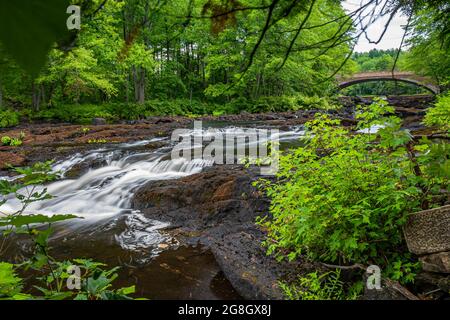 Price Rapids Conservation Area Tweed Ontario Canada im Sommer Stockfoto