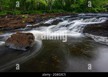 Price Rapids Conservation Area Tweed Ontario Canada im Sommer Stockfoto