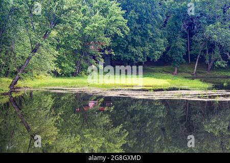 Price Rapids Conservation Area Tweed Ontario Canada im Sommer Stockfoto