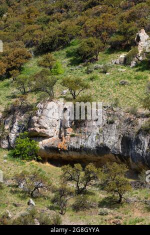 Mahagoni am Berg in Sulphher Canyon, Caribou-Targhee National Forest, Idaho Stockfoto