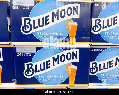 Orlando, FL USA - 18. Juli 2021: Fälle von belgischem Weißes Ale Beer mit blauem Mond in einem Sam's Club-Geschäft in Orlando, Florida. Stockfoto