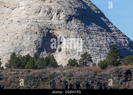 Eine große Höhle mit einem reifen Baum, der an der Öffnung an der Seite eines weißen Sandsteinberges wächst, erodierte im Laufe der Zeit, um Schichten im Felsen zu zeigen. Stockfoto