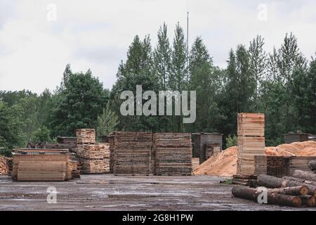 Lagerung von Holzbrettstapeln auf dem Sägewerk. In einer Schreinerei werden die Bretter gestapelt. Sägen Trocknen und Vermarktung von Holz. Kiefernholz Stockfoto