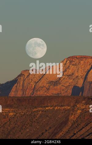 Der Vollmond, der über den dramatischen Bergen des Zion National Park aufgeht und von der untergehenden Sonne mit klarem Himmel erleuchtet wird. Stockfoto